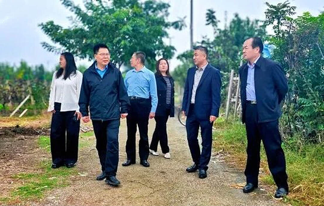 临沂市中华职教社到沂河新区调研职教助农工作